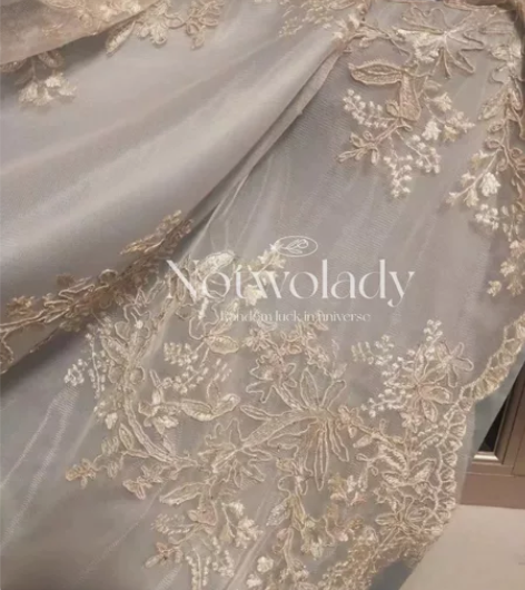 欧式浮雕绣花梦幻卧室客厅衣帽间鎏金纱帘 重...