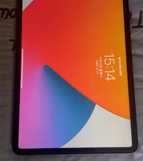 Apple/苹果 iPad Pro 11英...