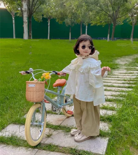 凤凰儿童自行车男孩女孩中大童高颜值脚踏单车...