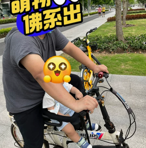 菲利普 PHILLIPS 折叠自行车； 2...