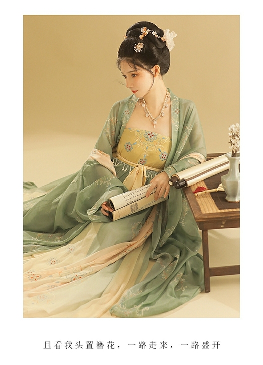 桔屿正品原创汉服女诃子裙【簪花】大袖衫唐制...