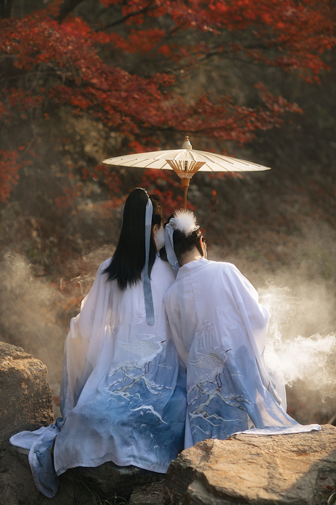 花雨辞 全套 打包很潦草，有意私聊。