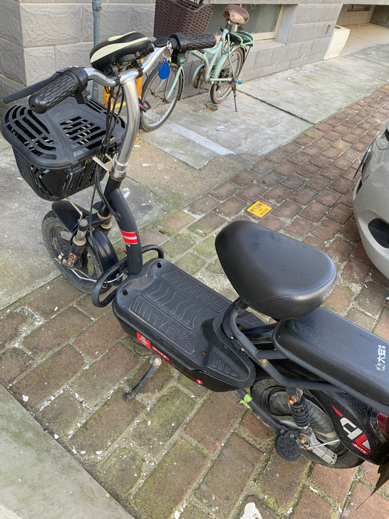 大安电动车，小巧便捷，速度快，配有自动巡航...