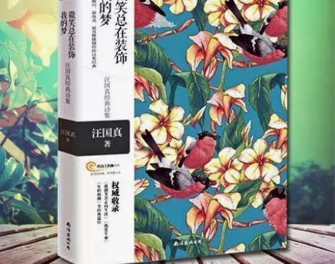汪国真诗集全集正版微笑总在装饰我的梦插画彩...