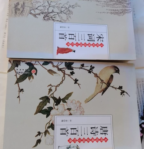 唐诗三百首，宋词三百首，两本全新没看过，不...