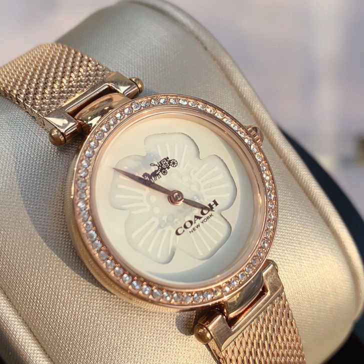 COACH/蔻驰 女表 ,全新,所见即所得