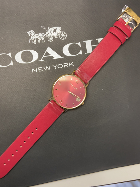 虎coach生肖表、就一只现货、只卖300...