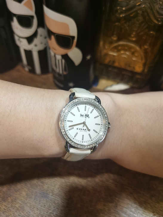 COACH 时装表 非全新（成色见图）售出...