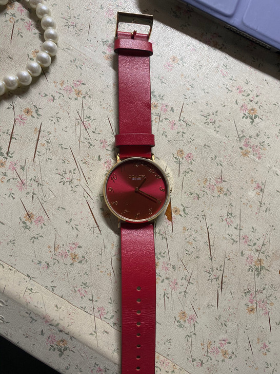 coach鼠年限定腕表 1000淘宝官网购...