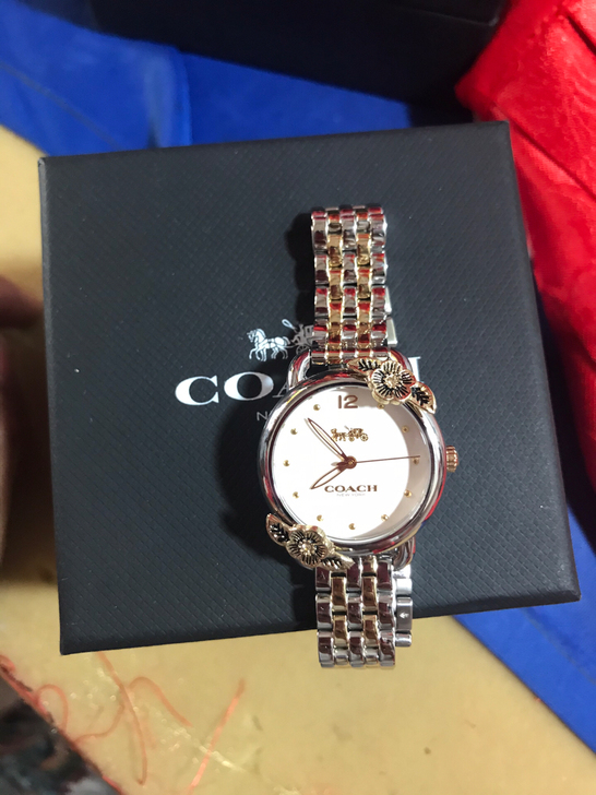 COACH/蔻驰DELANCEY蒂兰希系列...