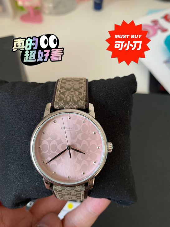 COACH蔻驰女士手表经典Logo表盘石英...