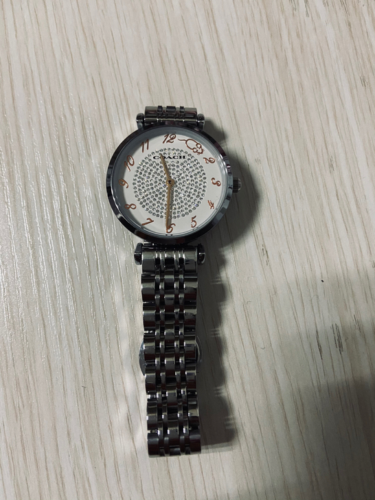 蔻驰生肖鼠年纪念款满天星。