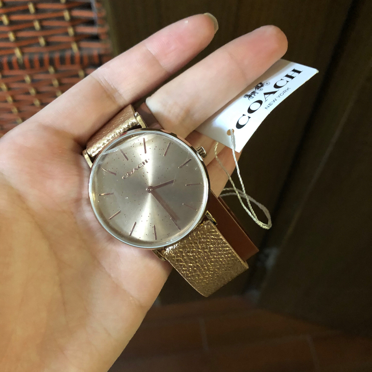 coach手表女士棕黄色