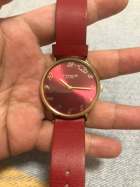美国蔻驰 COACH 鼠年限定款手表