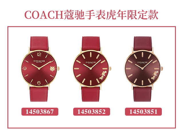 100%正品蔻驰石英表 砍价限时秒杀