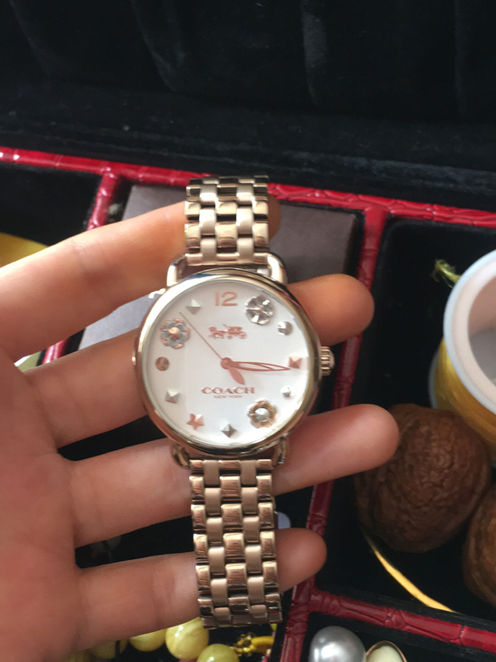 正品正品蔻驰专柜..石英的.基本没带过.电...