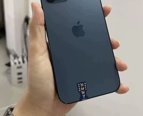 iPhone苹果12ProMax256G ...