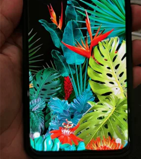 OPPO旗舰手机!电池耐用,高清2k屏幕,...