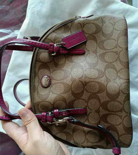 coach包，小号的应该，代购在加拿大买的...