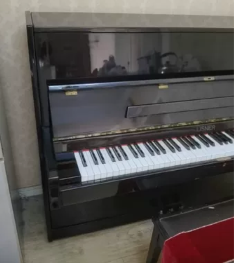 星海丽丝娜钢琴 运行完好无维修，很长时间没...
