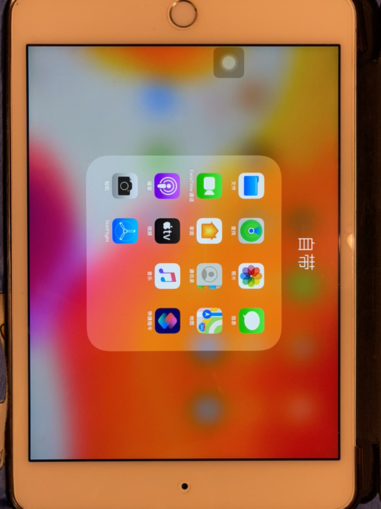 ipad mini4 国行64 插卡版 刻...