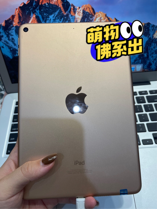 ipad mini4 128g 原装正品，...