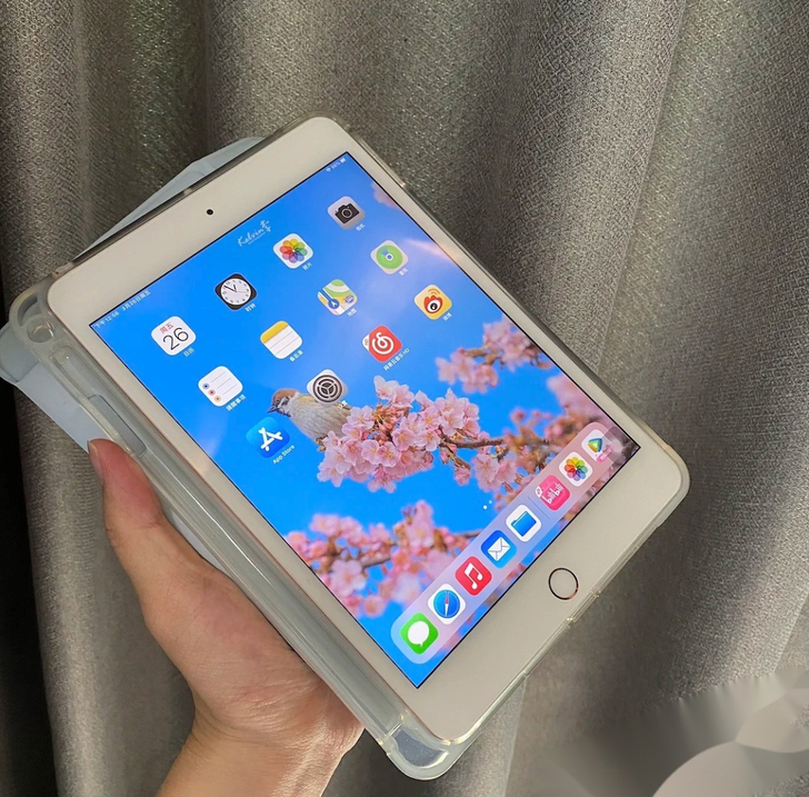 #iPad mini4 128g wifi...