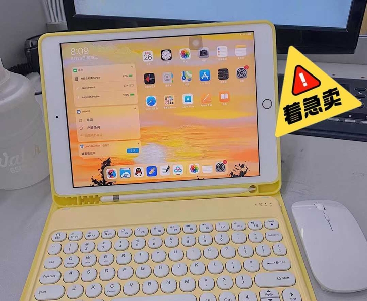个人闲置 女生自用iPad2019款  9...