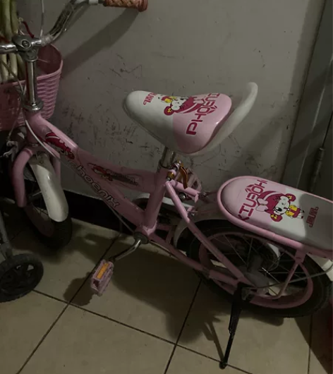 凤凰的自行车淘宝买的，迪卡农滑板车店里买的...