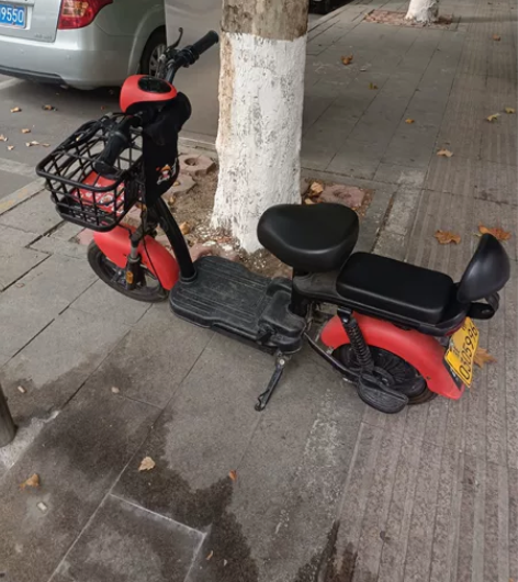 准新台铃电动车，新车啥样它啥样，四块12原...