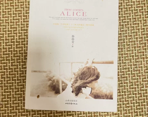 《夜之爱丽丝》青春文学读物 12.9包邮 ...