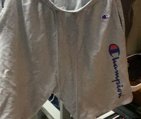 冠军短裤 五分裤正品 适合140斤以下的穿...