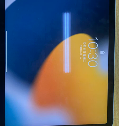 自用ipad air4 64g 蓝色 使用...