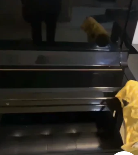 DIAPASON 钢琴 海湾城电梯楼自提几...