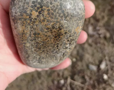 石器时代，石斧 感兴趣的话点“我想要”和我私聊吧～