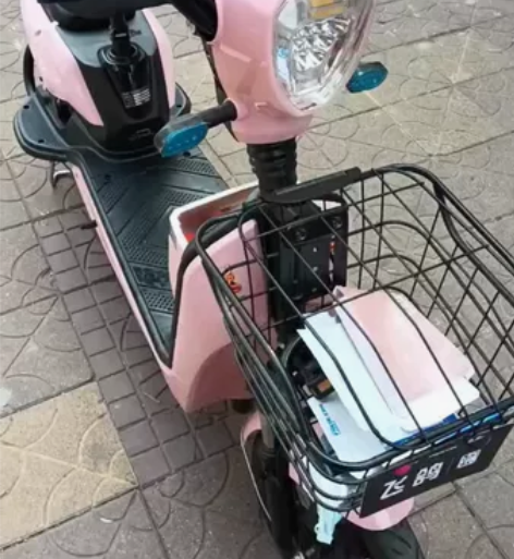 全新车，飞鸽48v的电动自行车，电池质保一...