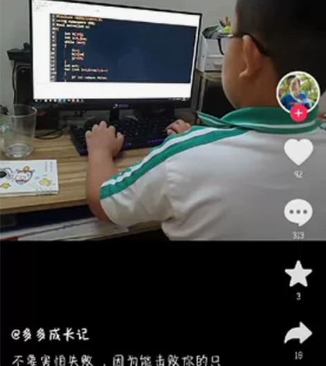 R语言，Stata等统计相关代码，英文也可...