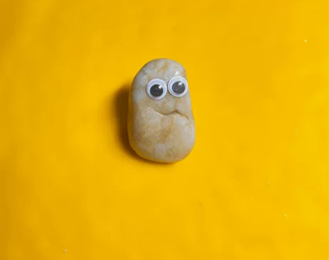 美国购petrock宠物石头 2015年左...