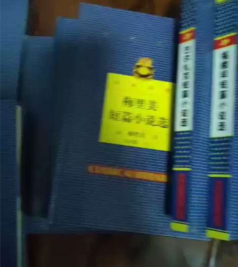 全套十本包邮，莫泊桑果戈里，巴尔扎克，欧亨...