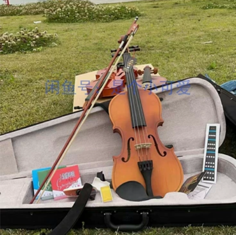 便宜出手工小提琴便宜转让 随琴配送大礼包，...