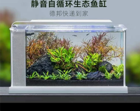 鱼缸水族箱小型阿诺比超白鱼缸玻璃造景真水草...