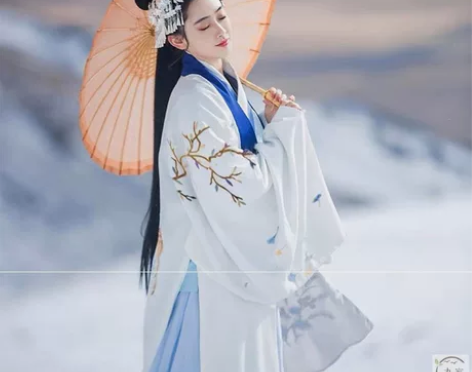 司南阁 风回雪 汉服 刺绣花秋冬明制袄裙 ...