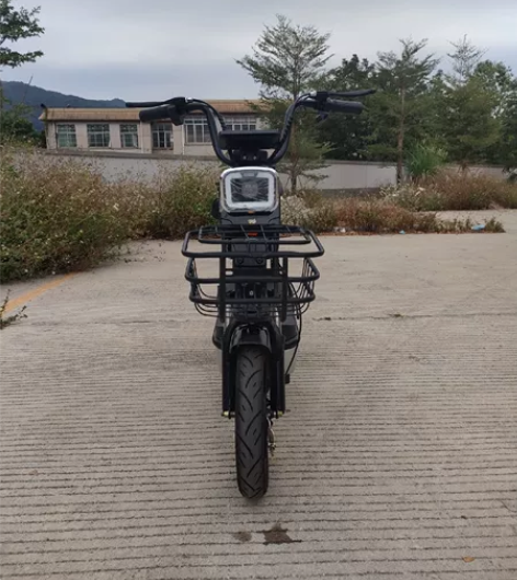 到货22年购买准新电动车单车款，有脚踏，证...