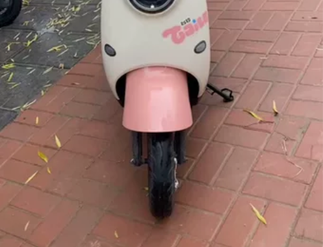 台铃电动车电车电瓶车，车子是十月初我和媳妇...