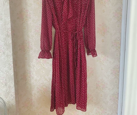 【法式复古圆点连衣长裙】 【全新，2XL码...