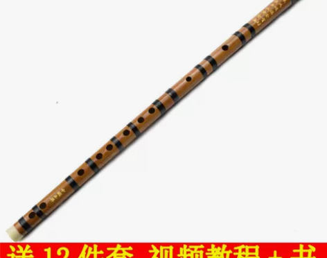 一节笛子乐器G调初学者练习成人大学生专业天...