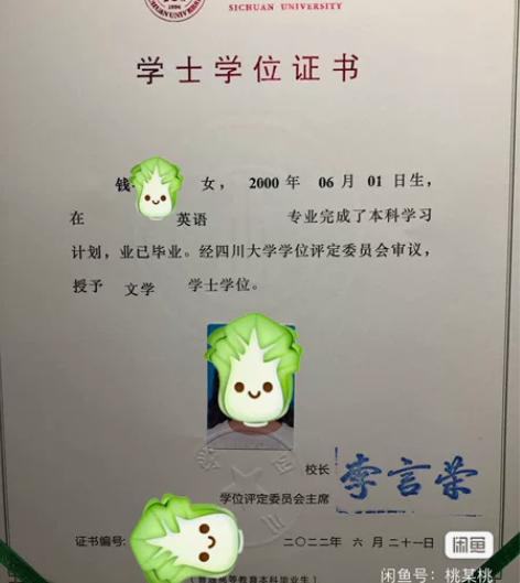 上海英语答疑、英语补习～ 本科川大，上海外...