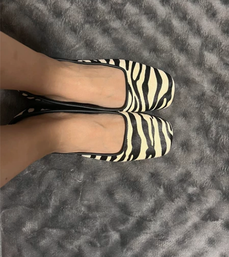 zara斑马单鞋,鞋子太多便宜转,全新仅试...