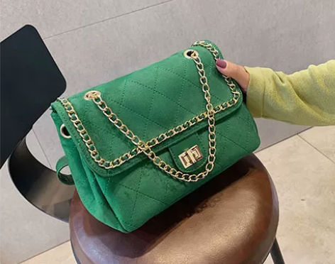 天彩翼飞 女士包全新,放店里搭配衣服的, ...