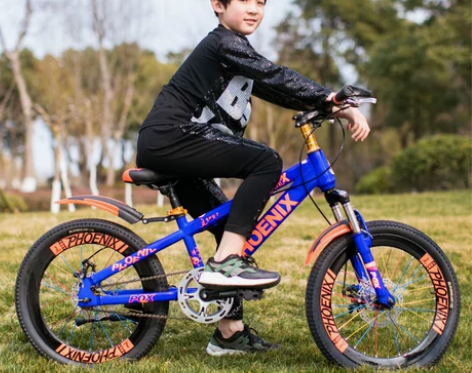 凤凰儿童自行车18/20/22寸男女学生单...